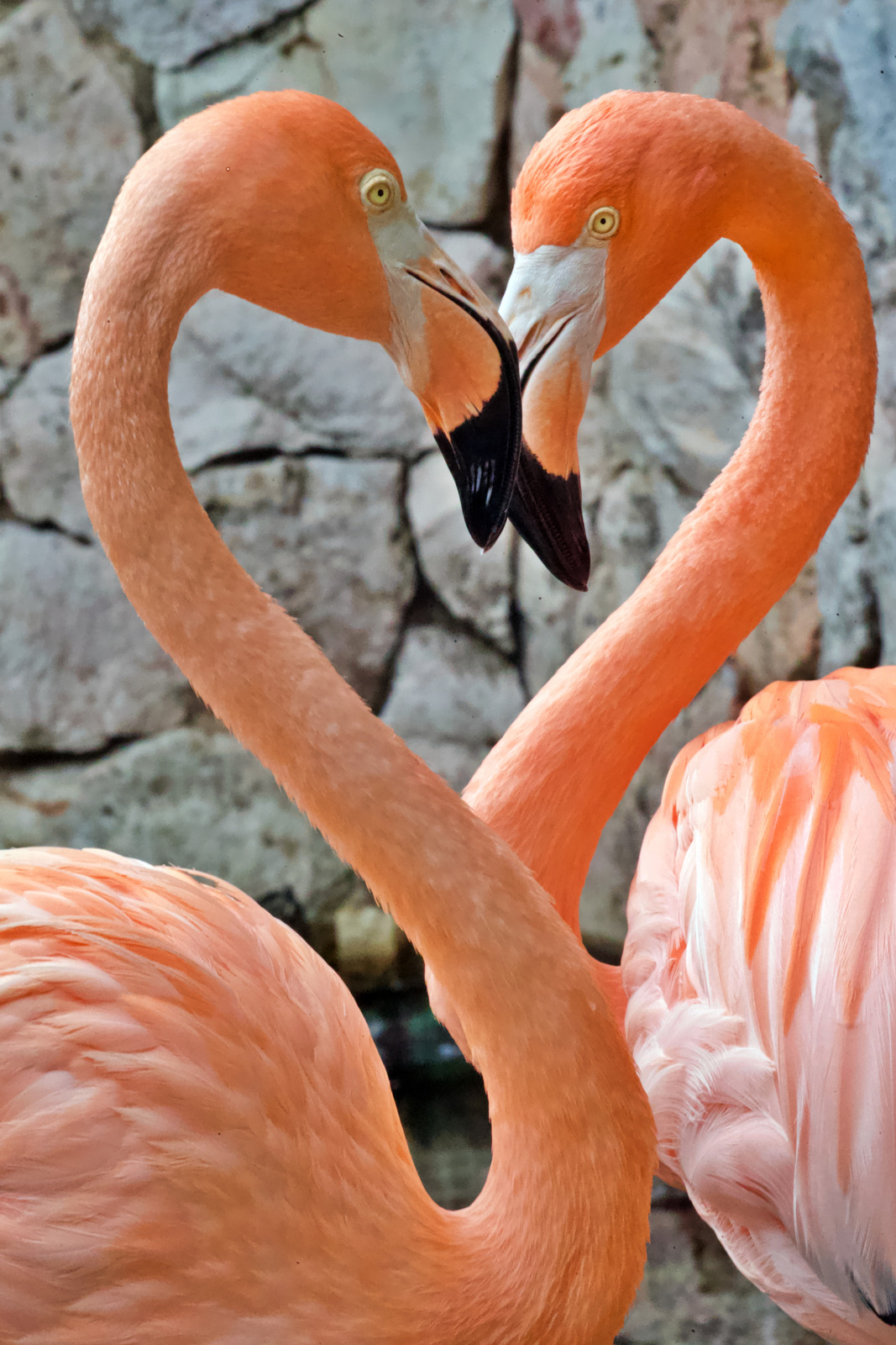 nxtscaleup agency homepage image